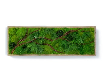 36" x 12" Artisan Moss® Moss Wall Art. Plant Painting® - Red Branch - No Care Green Wall Art. Real Preserved Plants. Moss and Fern Art.