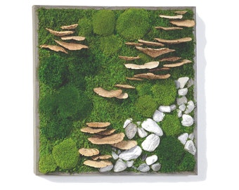 One 24"x24" Artisan Moss® Plant Painting® - Rocks and Fungus - No Care Green Wall Art. Real Preserved Plants.