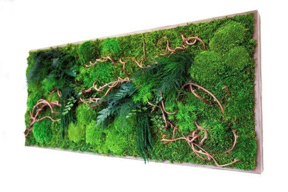 40 X 18 Artisan Moss Plant Painting With Curly Etsy