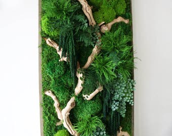 40" x 18" Artisan Moss® Sandwood Branch Style-Moss and fern plant painting in vertical or horizontal
