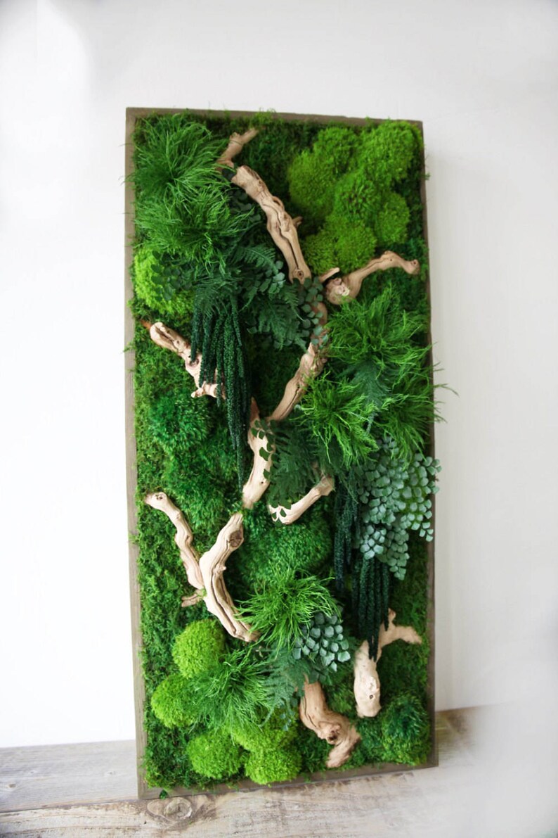 40 x 18 Artisan Moss® Real Preserved Plants in image 0