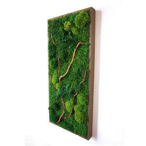 May include: A framed moss wall art piece with a wooden frame and a variety of green moss and preserved greenery. The moss is arranged in a natural pattern with a few brown branches.