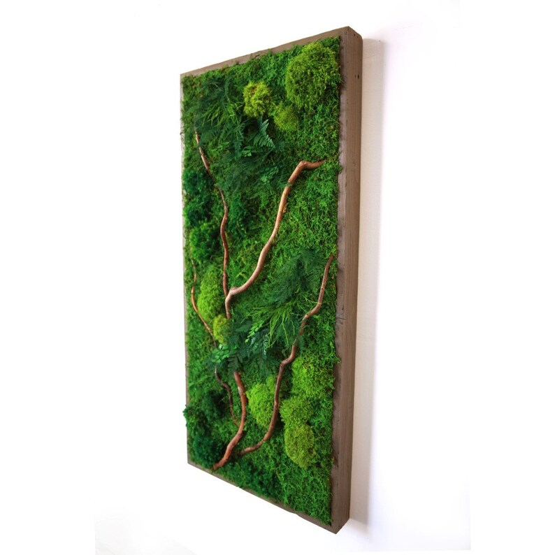 May include: A framed moss wall art piece with a wooden frame and a variety of green moss and preserved greenery. The moss is arranged in a natural pattern with a few brown branches.