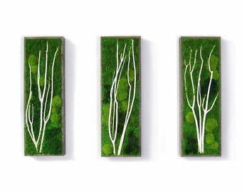 THREE 12"w X 36"t Artisan Moss® Plant Painting® Triptych - No Care Green Moss Wall Art. Real Preserved Plants with white branch. -Concept-