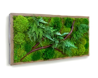 24" x 12" Artisan Moss® Plant Painting® - Red Branch - No Care Green Moss Wall Art. Real Preserved Plants.  Moss and Fern Art.