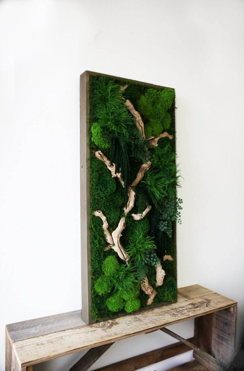 40 x 18 Artisan Moss® Real Preserved Plants in image 3