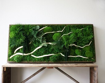 40" x 18" Artisan Moss® - White Branch - Real Preserved Plants in Wood Frame Plant Painting®- No Care Green Moss Wall Art.