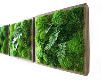 14" Moss Wall Art: Preserved Fern Plant Painting