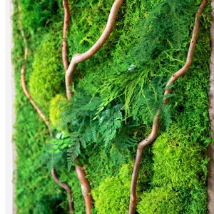 May include: A green moss wall art piece with brown branches and vines. The moss is a variety of shades of green and the branches are a natural brown color.