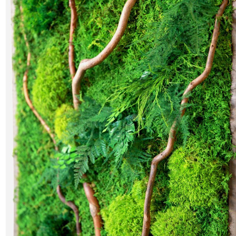 May include: A green moss wall art piece with brown branches and vines. The moss is a variety of shades of green and the branches are a natural brown color.