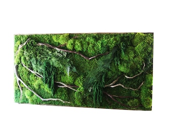 Può includere: Un'opera d'arte murale rettangolare in muschio verde con rami e ramoscelli marroni. Il muschio è di varie tonalità di verde e i rami sono disposti in un motivo naturale e organico.