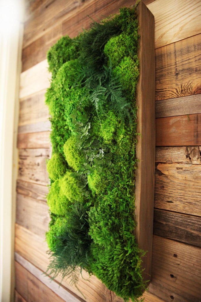 40 X 18 Artisan Moss Plant Painting No Care High Etsy