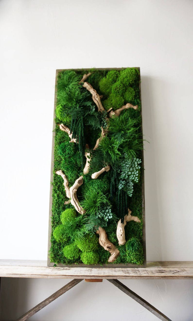 40 x 18 Artisan Moss® Real Preserved Plants in Etsy