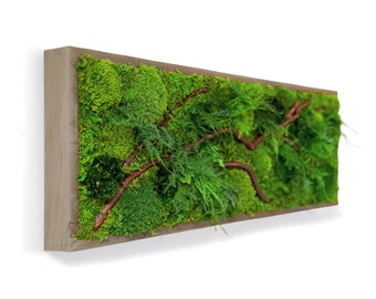 36" x 12" Artisan Moss® Moss Wall Art. Plant Painting® - Red Branch Style - No Care Green Wall Art. Real Preserved Plant, Moss and Fern Art.