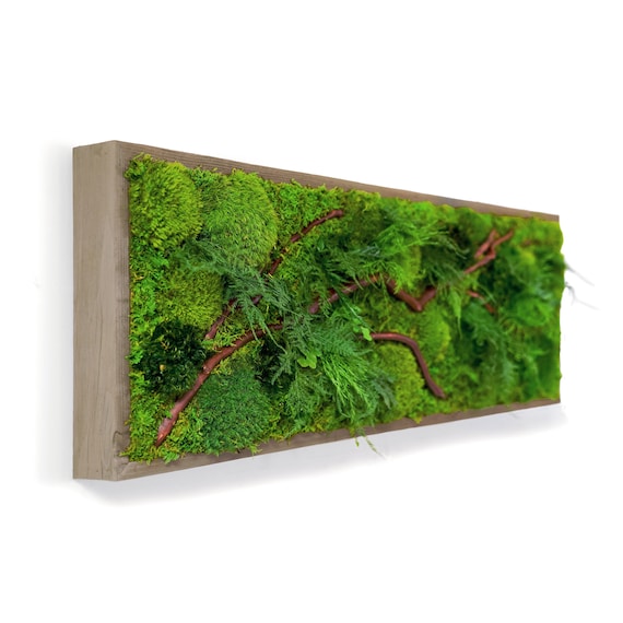 36 X 12 Artisan Moss® Moss Wall Art. Plant Painting® Red Branch Style No  Care Green Wall Art. Real Preserved Plant, Moss and Fern Art. 