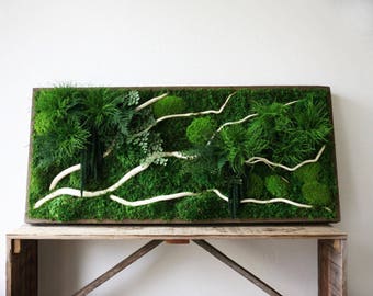 Preserved Moss Wall Art: White Branch Plant Painting (40" x 18")
