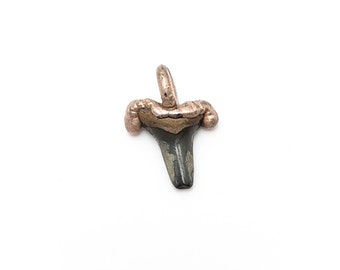 Shark Tooth Fossil Charm // Cretaceous , fossilized , handmade , geology , archeology, shell, silver, necklace, charm
