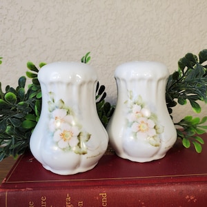 Small Hand-painted Salt and Pepper Shakers
