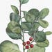 Botanical PNG Clip Art 'Madeira Holly' Vintage Art Download for Collages, Scrapbook, Transfers, Thank You Notes, Gift Tags, Home Decor...