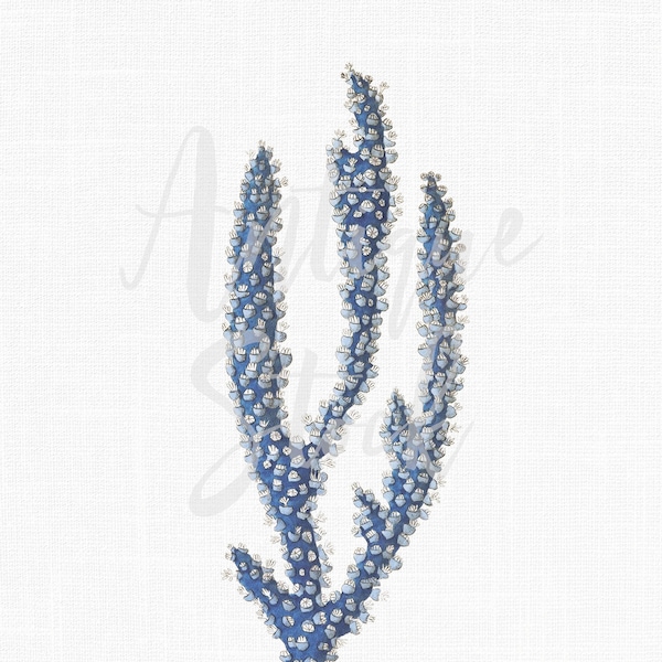 Coral Clipart "Blue Gorgonia" Vintage Printable Digital Image for Collages, Wall Art Prints, Transfers, Scrapbook, Invites...