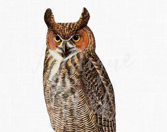 Bird Clip Art Image "Great Horned Owl" Instant Download Image for Prints, Scrapbook, Wall Art, Collages, Paper Crafts...