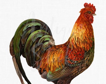 Watercolor PNG "Rooster" Printable Digital Download for Sublimation, Cards, Scrapbook, DIY Projects...