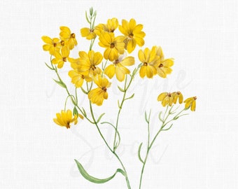 May include: A watercolour painting of a bunch of yellow wildflowers with green stems and leaves.