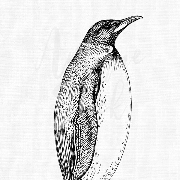 Penguin Clipart Digital Download Line Drawing Illustration for Transfers, Scrapbook, Crafts, DIY Projects, Collages, Graphic Design...