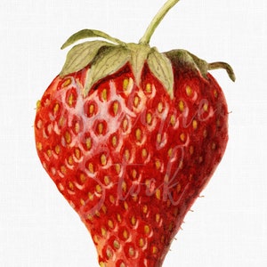 Strawberry Printable Art Download &quot;Bellmar Strawberry&quot; PNG & JPG Images for DIY Crafts, Kitchen Wall Art, Sublimation, Collages...