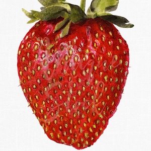 Erdbeere Kunstdruck Digitaler Download Druck "Erdbeere" PNG & JPG Bilder für DIY Basteln, Küche Wandkunst, Sublimation, Collagen...