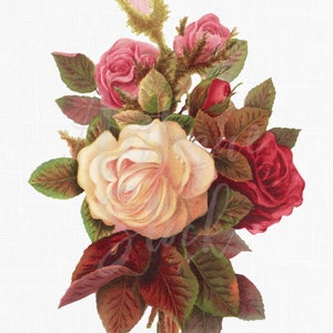 PNG Rose Clipart Instant Download &quot;Roses&quot; Digital Images for Collages, Scrapbooking, Crafts, Wedding Invitations...