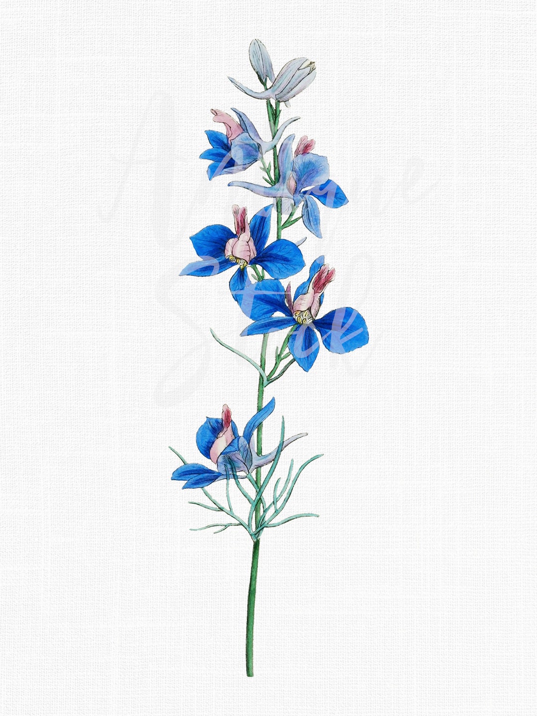 Blue Vintage Flowers 