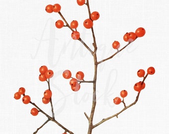EASY DIY - Winterberry branches for Christmas - Vin'yet Etc.