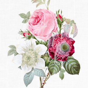 Flowers Clip Art "Rose Anemone Clematis" Digital Download Botanical Illustration Image for Invitations, Design, Wall Art Prints, Crafts...