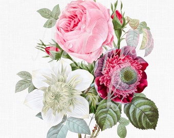 Grafika wektorowa z kwiatami „Rose Anemone Clematis” do pobrania w wersji cyfrowej. Ilustracja botaniczna do zaproszeń, projektów, wydruków ściennych, rękodzieła...