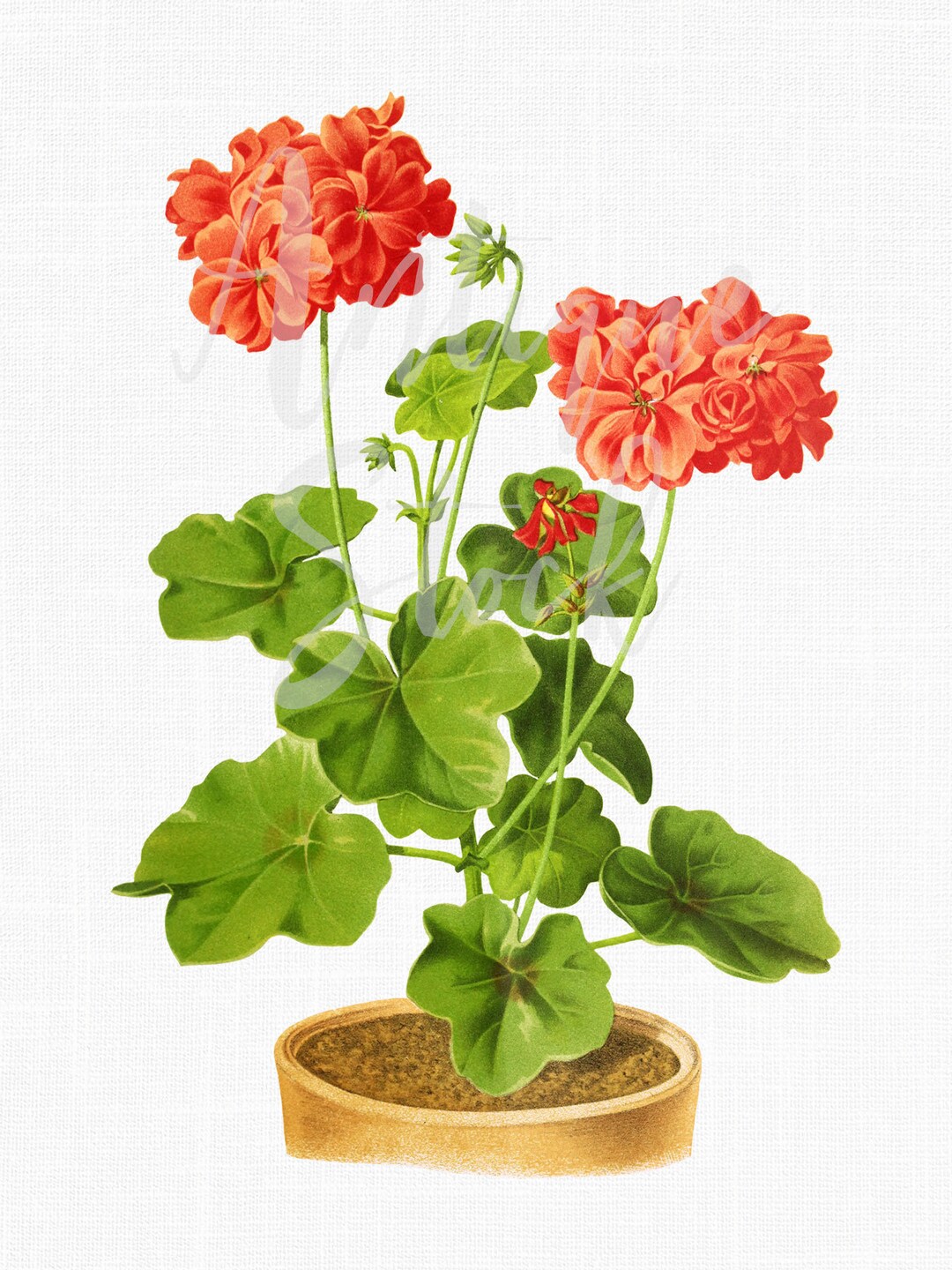 Printable Flowers Instant Download horseshoe - Etsy