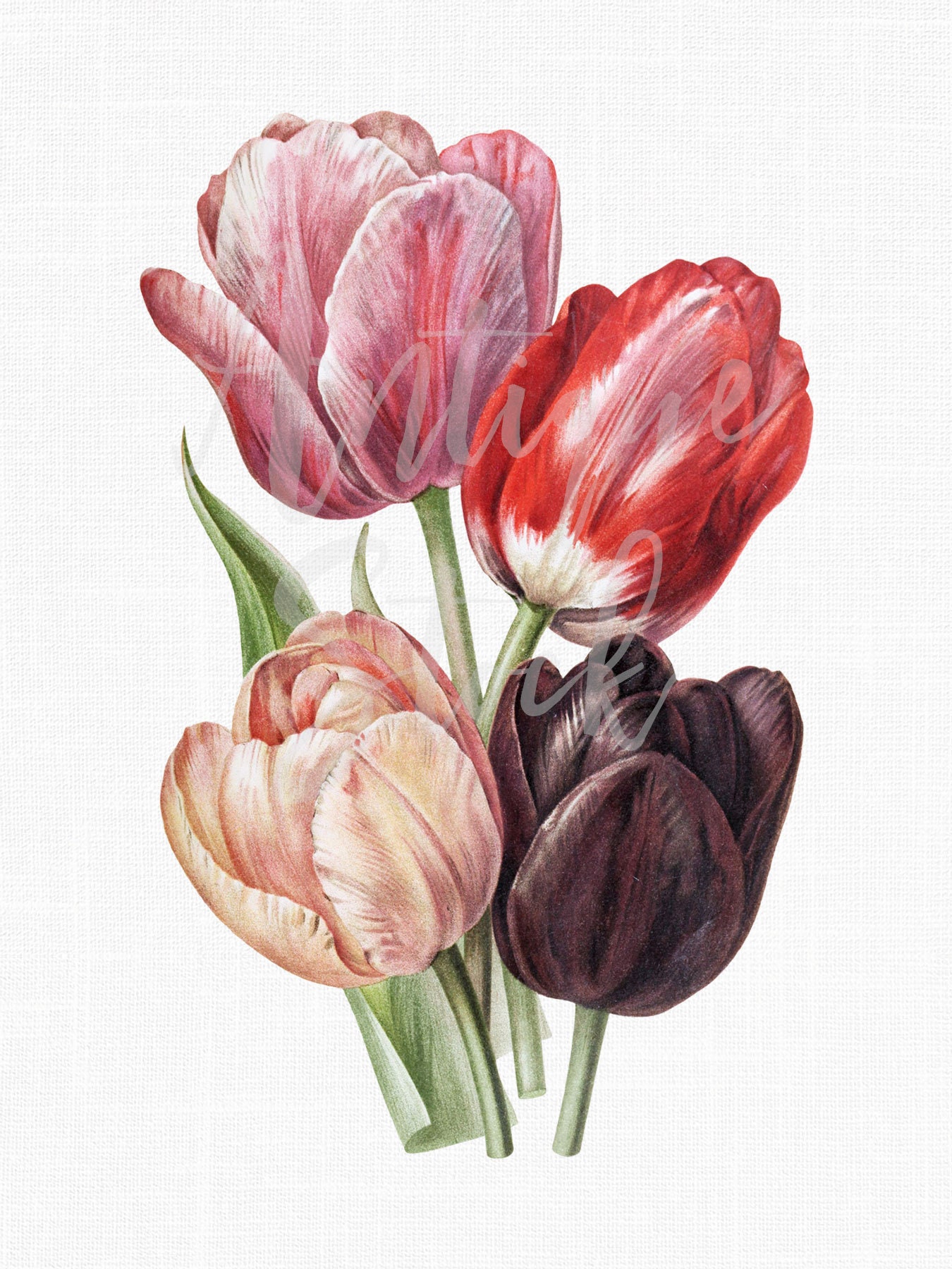 Prints Tulip Bouquet Digital Download Print Art & Collectibles etna.com.pe