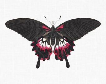 Butterfly Clipart "Scarlet Mormon" PNG and JPG Insect Illustration for Card Making, Scrapbooking, Prints, Collages, DIY Projects...