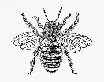 Insect Clipart &quot;Queen Bee&quot; Line Art Transfer Honey Bee Printable Image for Card Making, Scrapbooking, Decoupage, Design, Paper Crafts...