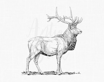 Deer Digital Download "Elk" Wapiti Line Art Drawing for Decoupage, Collages, Coloring, Invitations, Wall Art...