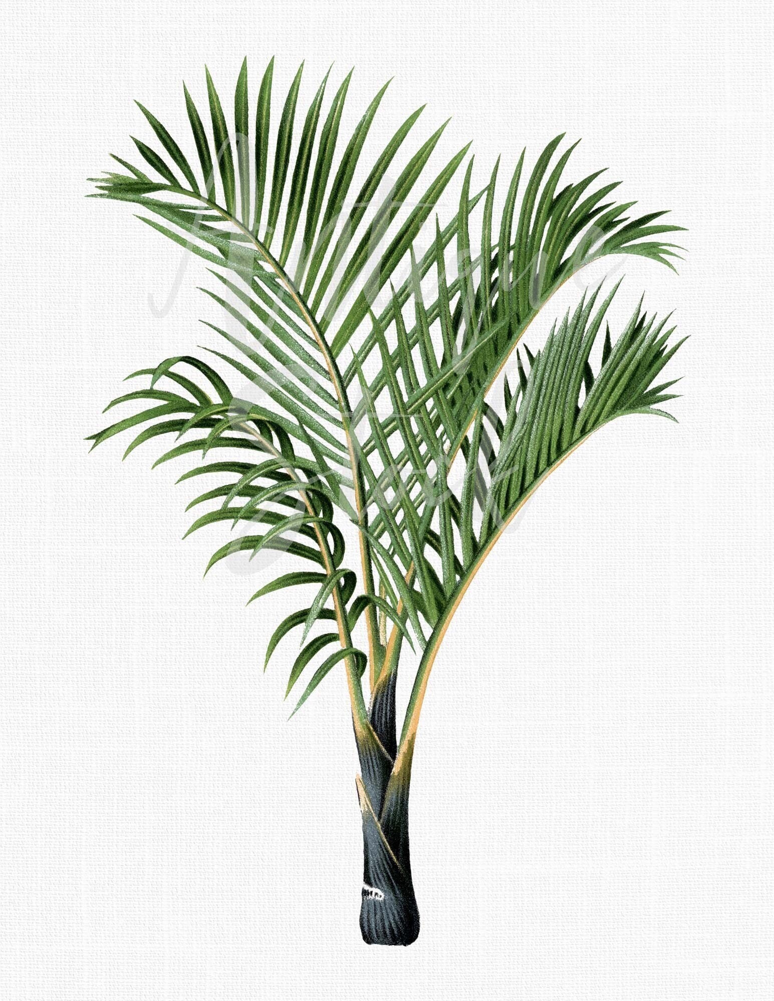 Cheap Custom White White-Kelly Green 3D Pattern Design Palm Trees