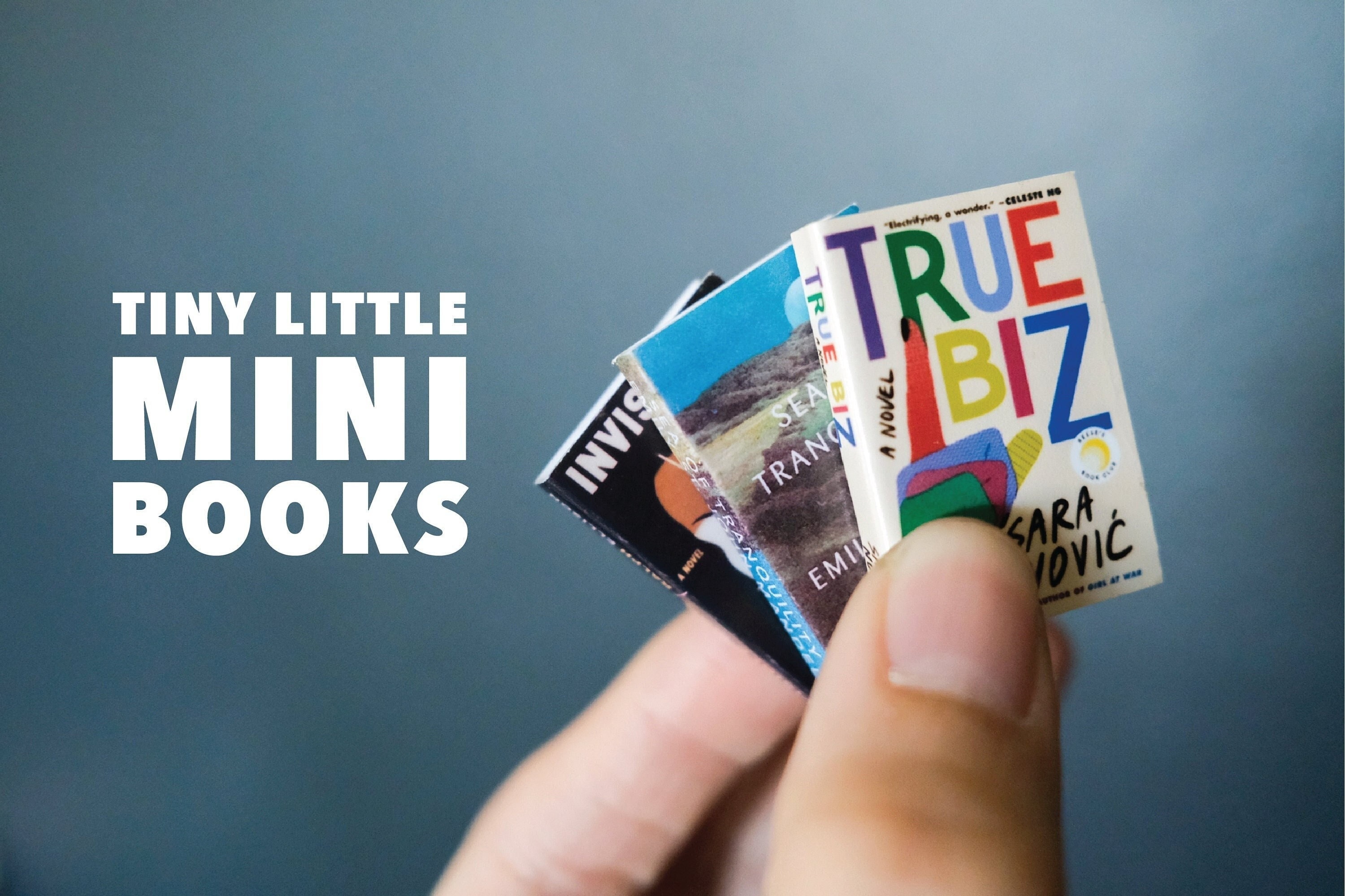 Custom Mini Books 