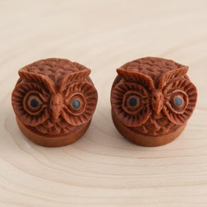 May include: A pair of circular ear plugs carved from brown wood, each featuring a detailed three-dimensional owl face with prominent eyes, a small beak, and textured feather patterns across the surface of the round, disc-shaped jewelry.