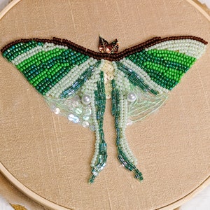 Tambour Embroidery Kit Moth for Beginner DIY Luneville Embroidery Kit 