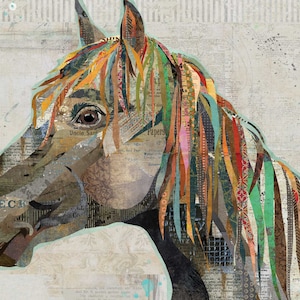 Pryor Mountain Wild Horse - A Fine Art Print for Horse Lovers - Vintage and Rustic Style for Farmhouse, Shabby Chic & Western Style Decor
