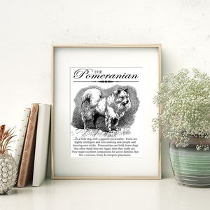 Pomeranian Pom Typography Wall Art Printable Artwork INSTANT DOWNLOAD With Dog Breed Dictionary Style Definition Dog Lover Gift image 4