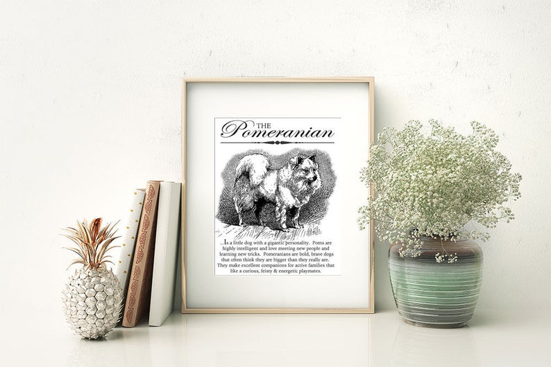 Pomeranian Pom Typography Wall Art Printable Artwork INSTANT DOWNLOAD With Dog Breed Dictionary Style Definition Dog Lover Gift image 4