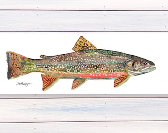 Cutthroat Trout Collage Art – Contemporary Fish Wrapped Canvas Print