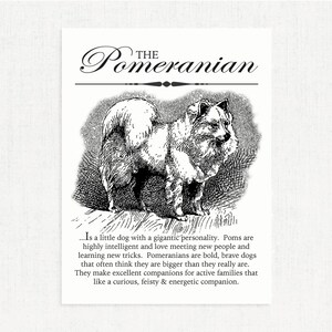 Pomeranian Pom Typography Wall Art Printable Artwork INSTANT DOWNLOAD With Dog Breed Dictionary Style Definition Dog Lover Gift image 2