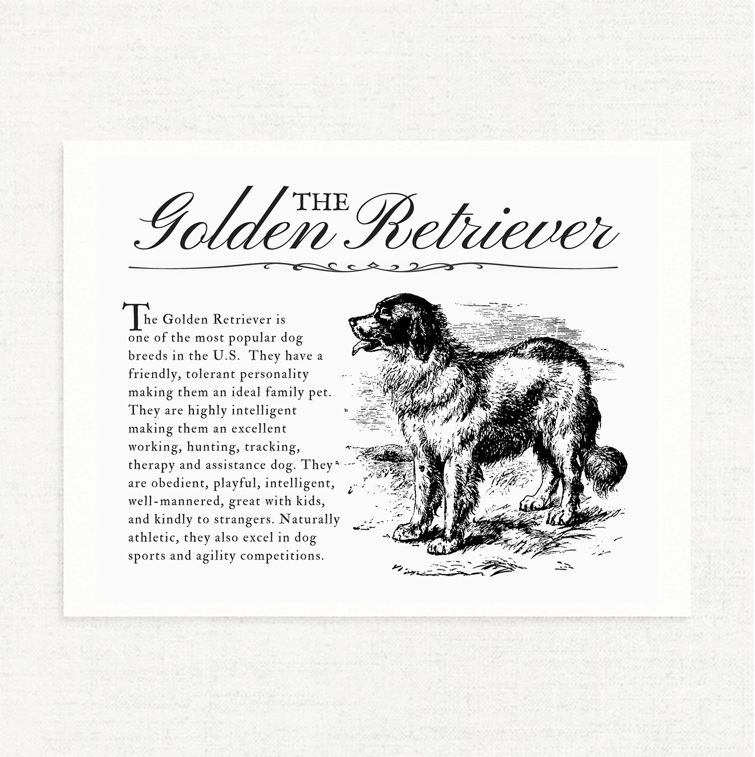 Golden Retriever Vintage Inspired Wall Art Home Decor Print INSTANT  DOWNLOAD Printable Art Gift for Dog Lovers - Farmhouse / Retro Style - Etsy, image size:1500x1503